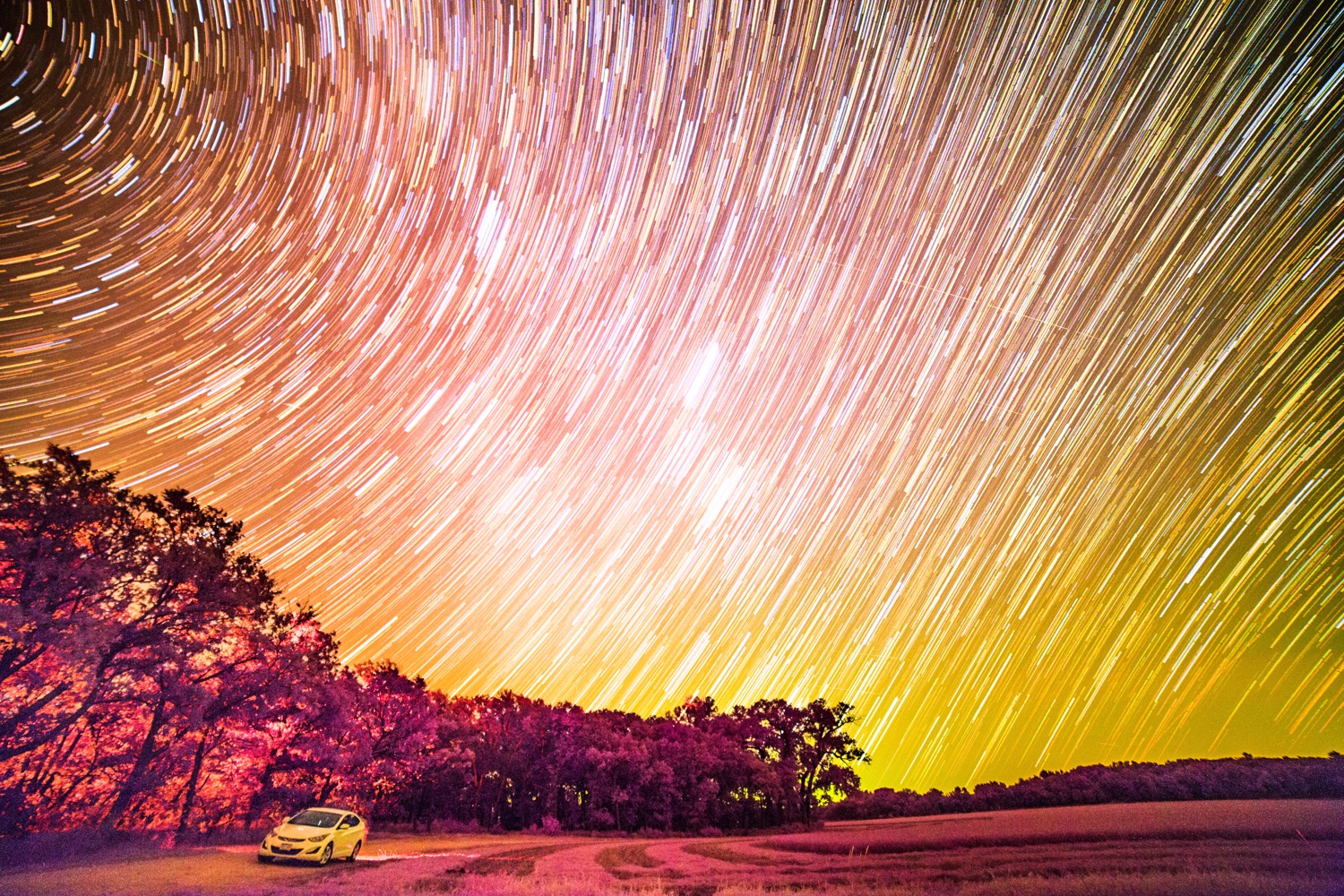 Star trails over a field